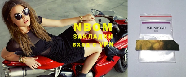 ПСИЛОЦИБИНОВЫЕ ГРИБЫ Тайга
