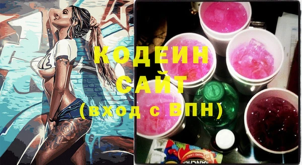 дживик Сясьстрой