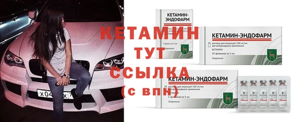 дживик Сясьстрой