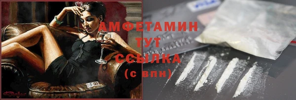 дживик Сясьстрой