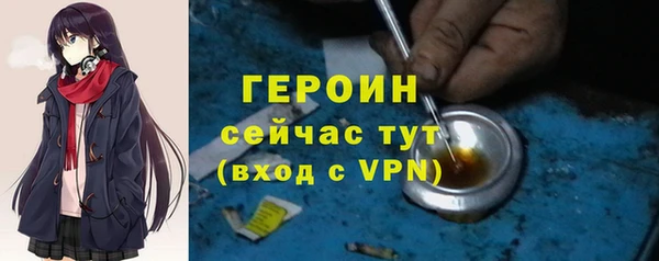 дживик Сясьстрой