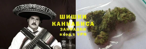 дживик Сясьстрой