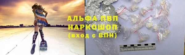 ПСИЛОЦИБИНОВЫЕ ГРИБЫ Тайга