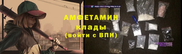 ПСИЛОЦИБИНОВЫЕ ГРИБЫ Тайга