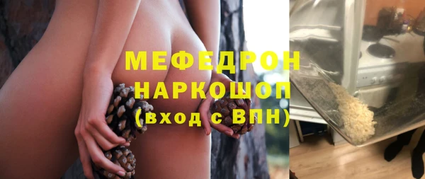 дживик Сясьстрой