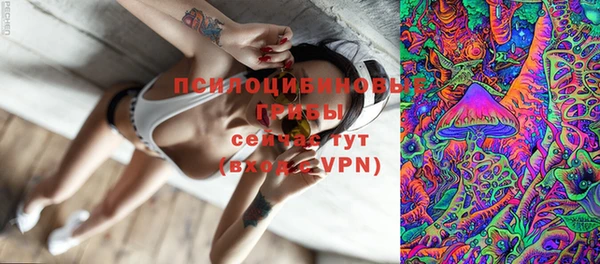 ПСИЛОЦИБИНОВЫЕ ГРИБЫ Тайга