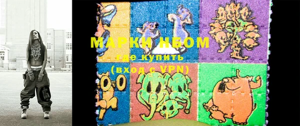 дживик Сясьстрой