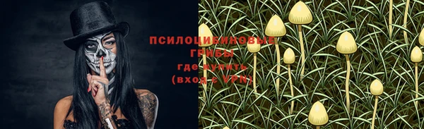 мет Тавда