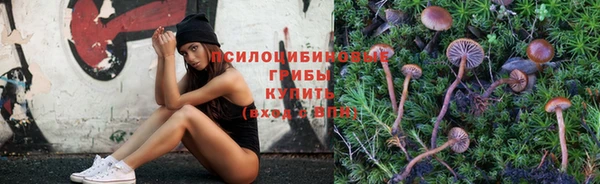 мет Тавда