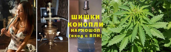 дживик Сясьстрой