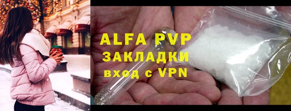 дживик Сясьстрой