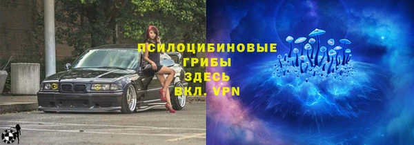 ПСИЛОЦИБИНОВЫЕ ГРИБЫ Тайга