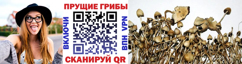 Галлюциногенные грибы ЛСД  наркота  Алексин 