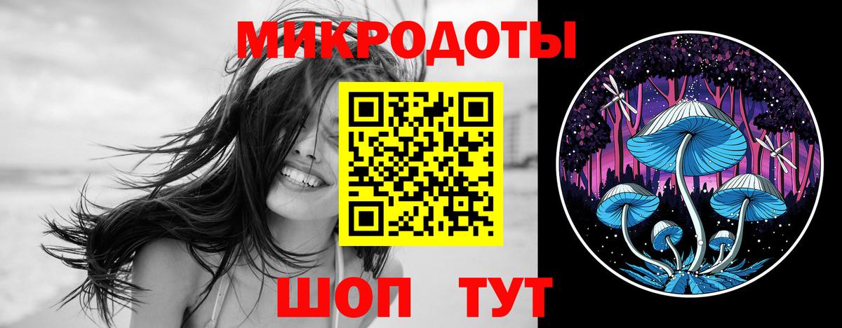 Галлюциногенные грибы Cubensis Алексин