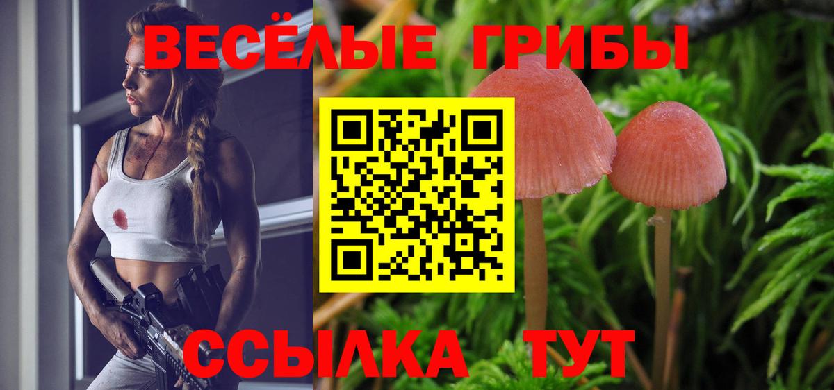 Алексин  Галлюциногенные грибы Magic Shrooms  Вход с VPN  Псилоцибиновые грибы Psilocybe 